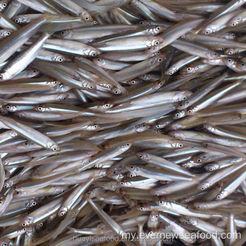 အရည်အသွေးမြင့် iqf ငါး whitebait